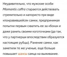 Зачем самка богомола съедает самца?