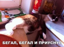 А я один прочитал здесь "...приСУнул"???