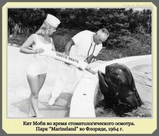 Что то она не совсем на зоолога похожа или медсестру