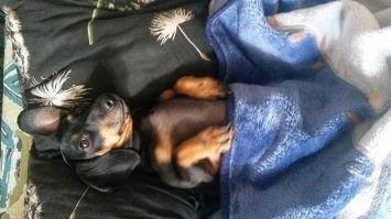 да, распространенная команда)