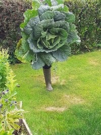 Необычная потеря.