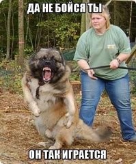 Правильно сделал!