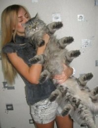 дык вон у неё кофта