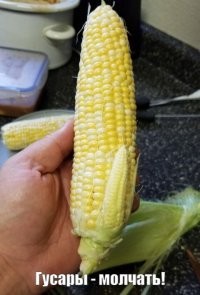 30 съедобных сюрпризов, оказавшихся большой неожиданностью