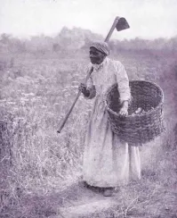 Солнце ещё высоко, почему негра уже работу бросила???