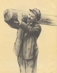 Самый смешной конкурс фотографов-анималистов объявил победителей