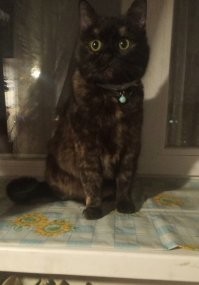 Не совсем чёрная, конечно, но