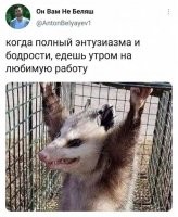 энтузиазм и бодрость так и прет)