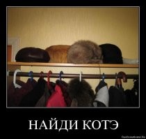 25 природных мастеров максировки: их найдут только самые внимательные