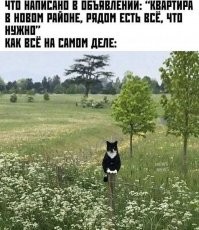 А что тут не так?