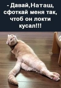 Смешные и познавательные картинки