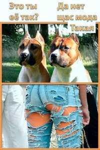 Смешные и познавательные картинки