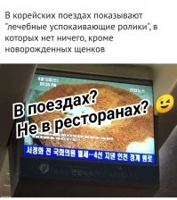 Факты о Южной Корее, которые вас поразят