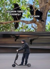 Безумный электросамокатчик из Курска на встречной полосе