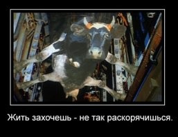 Паранджа им к лицу: британский спецназ SAS драпал из Афганистана, прикинувшись женщинами