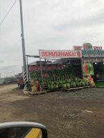 вполне приличная земляника. ягода - она и в африке ягода.