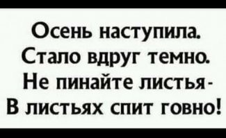 Как сделать фото для блога: вредные советы
