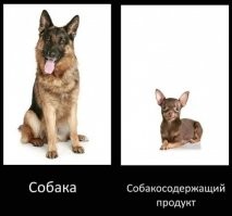 В Башкирии мужчина содержимым пакета убил напавшую на него собаку