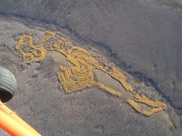 Листвиничный рисунок с высоты полёта.