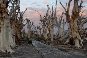 Как выглядит затопленный город спустя 25 лет?