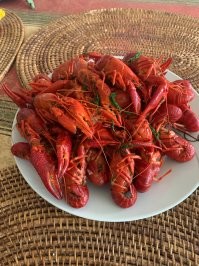 Я каждую неделю в море , устрицы бывают не везде , если конкретней то ближе к Атлантике , в северном море больше мидий , допустим раньше с женой специально ездили на черные и белые скалы в Нормандию , набирали ведрами и везли домой , сейчас мне легче пойти в магазин и заплатить 5 евро за 2 кг живых . Вот к примеру вчера просто захотел мулей и купил , а мидии так себе реально на любителя . Раки кстати местные , у нас рядом с домом озеро я иногда по вечерам прохожу с сочком и набираю .