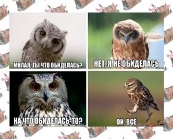 25 харизматичных птиц, познавших эту жизнь