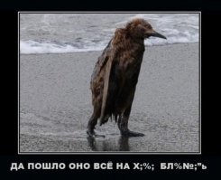 Коротко обо мне