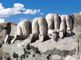 25 случайных фактов для вашей копилки знаний