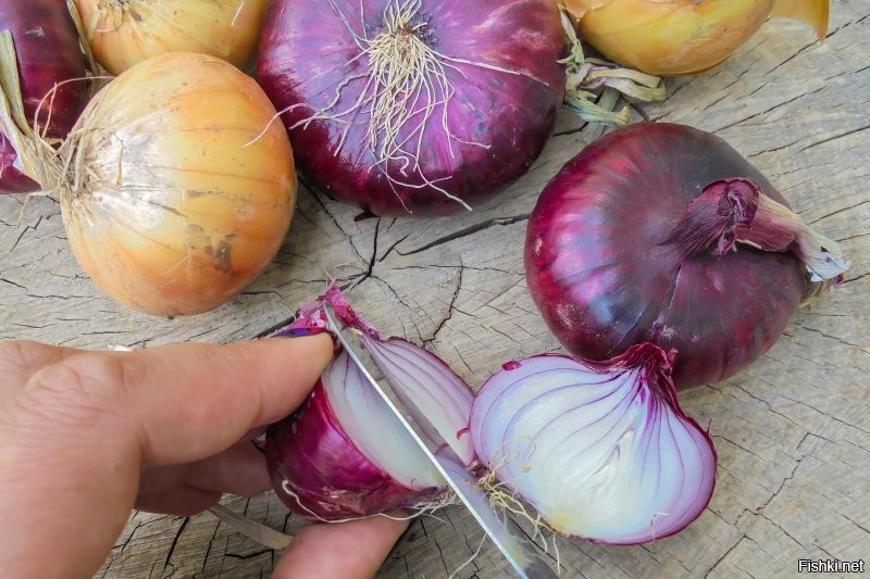 Автору спасибо надо сказать, что открыл человечеству глаза.
А то едим всё недозревшее.