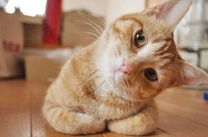 Крутой рестомод Dodge Power Wagon 1949 года