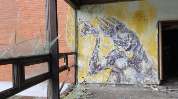 3) Заброшенный санаторий от Кировского Завода в Стрельна