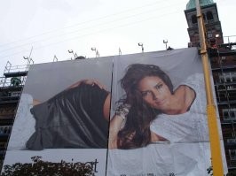 Если бы не увидел – не поверил бы! Кадры из которых сочится ирония