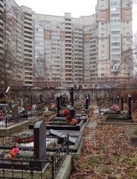 У Вас будут тихие соседи, говорили они.