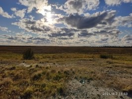 Это блюдо смертельно для всех, кроме северян