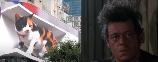 Огромный 3D кот приветствует прохожих на Токийском вокзале Синдзюку