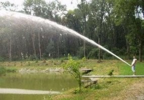 Гидросексуал.