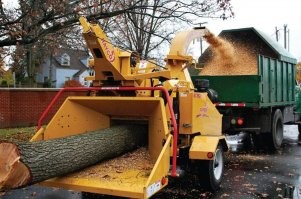 Если доказали что насильник вот устройство и никаких отсидок