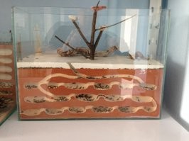 Представьте себе, что есть компьютеры, которым мозгов хватает анализировать все разговоры мира.  Выводы = знания о поведении сообщества и управление этим поведением.