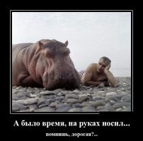 Приколы от души