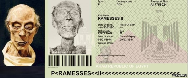 Это не мумия Рамсеса II. У мумии есть паспорт, там она выглядит иначе - подбородок, глаза, скуловые кости, нос, шея.