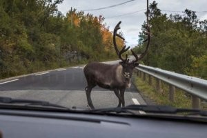 Авария дня. Совсем не доброе утро из Копейска