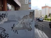 По-моему это не филин, а котик выбался с разбегу в стену! ))