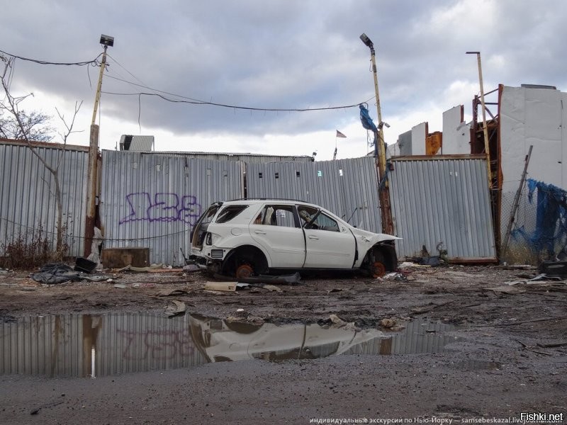 Илю сюда вставь