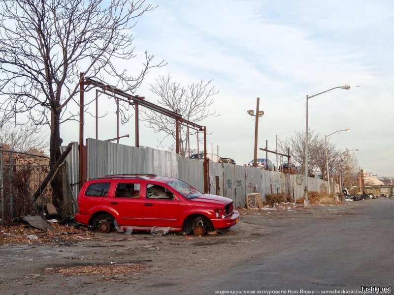 Илю сюда вставь