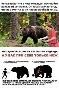 Вы кто такие?! Неожиданная встреча грибников с медведем