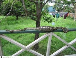 30 изображений с заголовками, которые пытаются вас обмануть