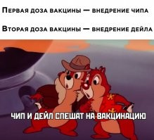 Звезды, выступающие за и против вакцинации от Covid-19
