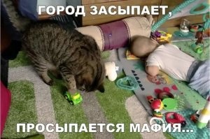 Сотрудники ДПС устроили сонный час на посту и попали под проверку