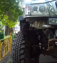 "Тут могу. На колесе сидит))"

Ну вот! Убегает! Зачем ты его испугала?