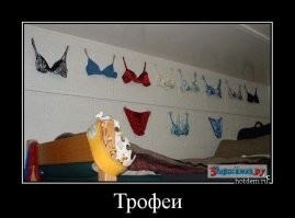 Смешные и познавательные картинки